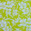 KEY WEST OYSTER YELLOW
