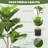 Artificial Fiddle Leaf Fig Tree