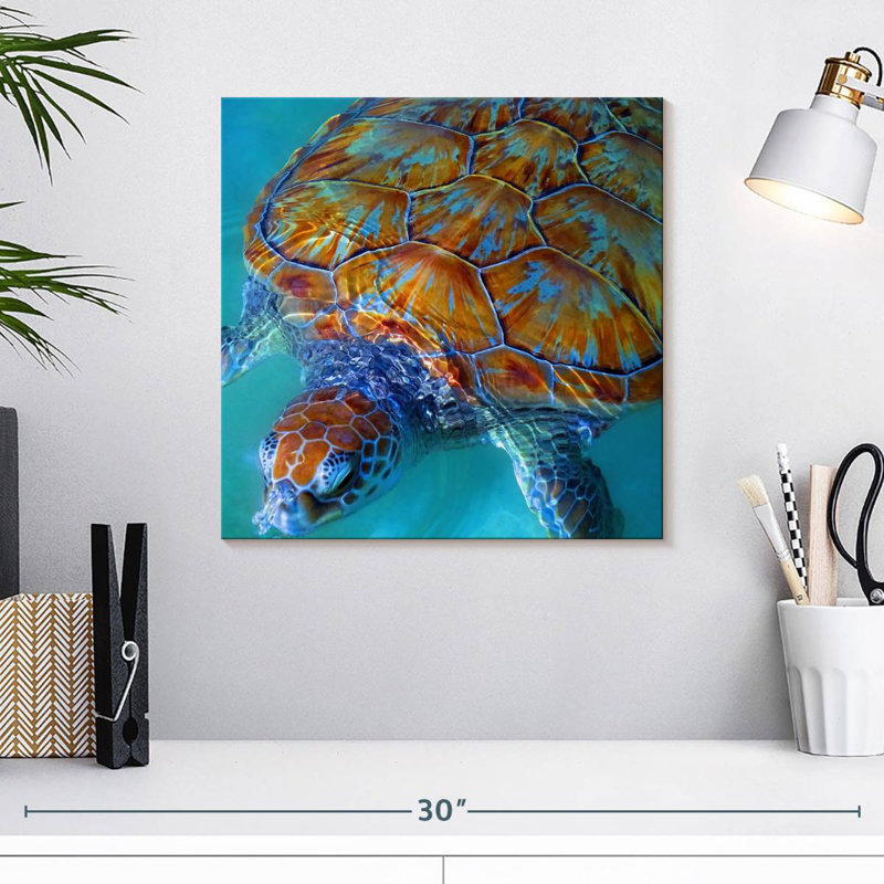 Brampt Cayman Sea Turtle