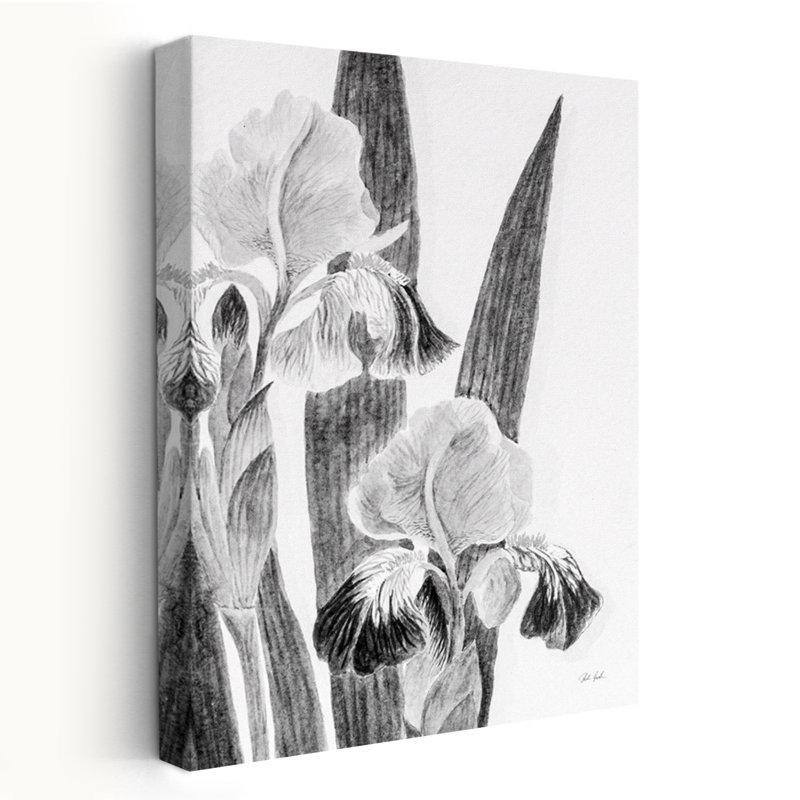Minimalist Illustrated Iris I, 60" H x 40" W