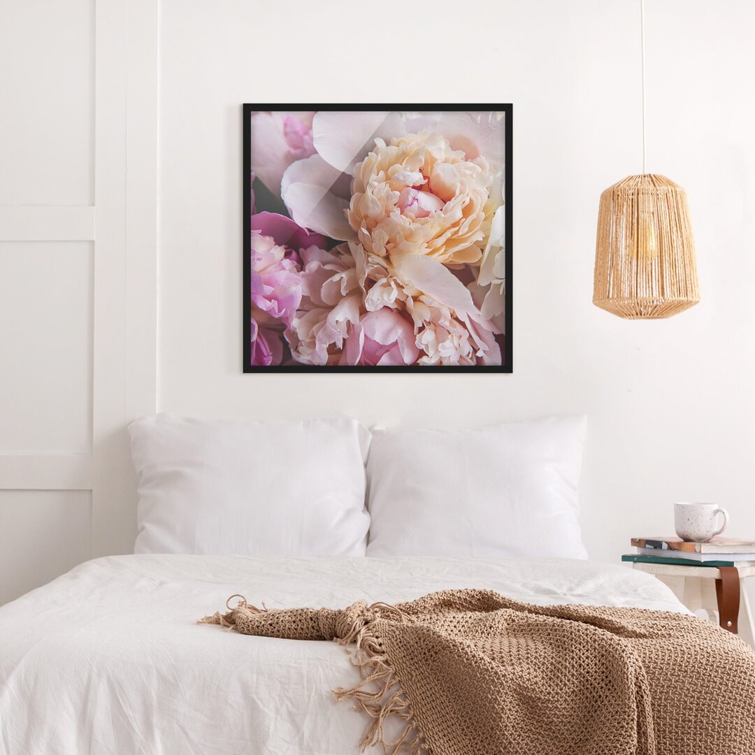 Gerahmtes Poster Flowering Peonies