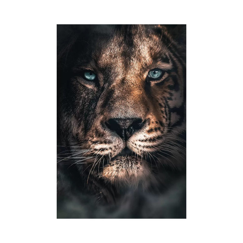 Half a Tiger Half a Lion 1 Piece Wall Art on Canvas, 30.48 cm H x 45.72 cm W, Wrapped Canvas