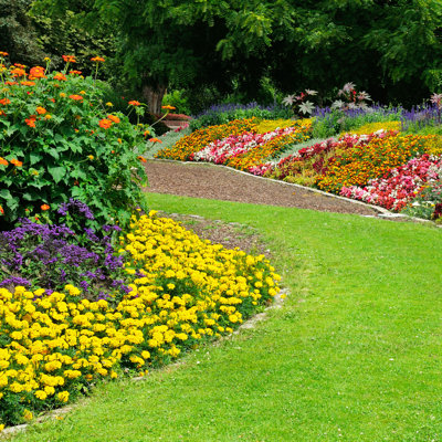Ashelly " Blossoming Flowerbeds " by Alinamd