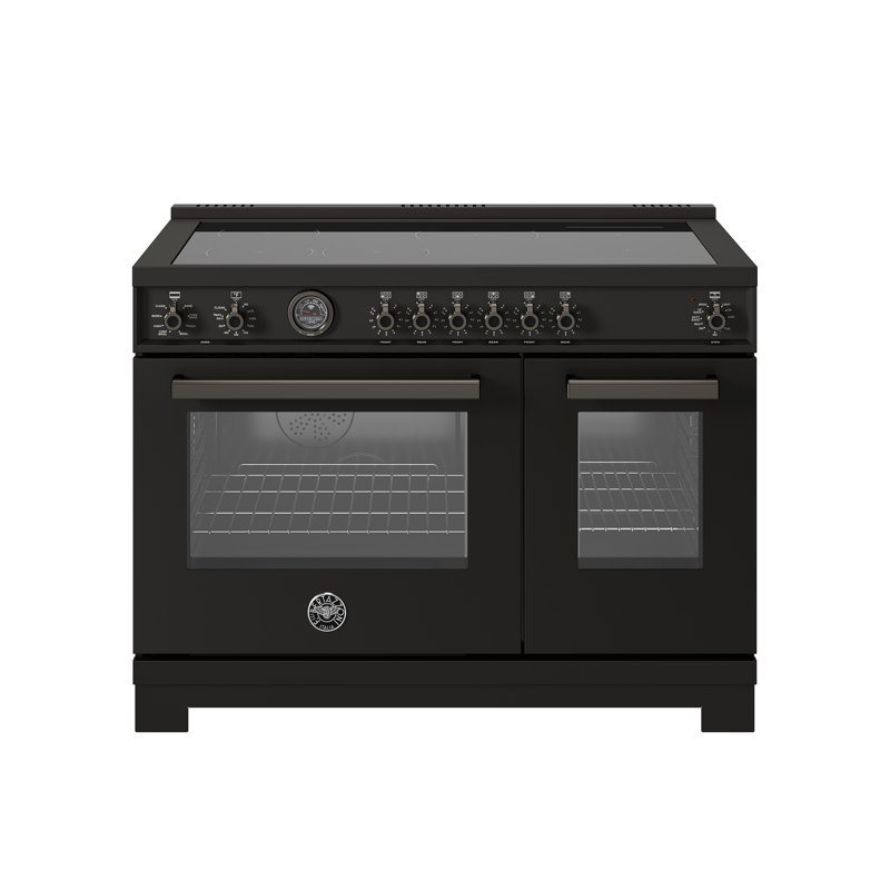 Professional Series Induction Range 48" - 6 Heating Zones + Cast-Iron Griddle - Self-clean Oven, Carbonio