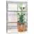 Lelend Christmas Fir On Window-108662017