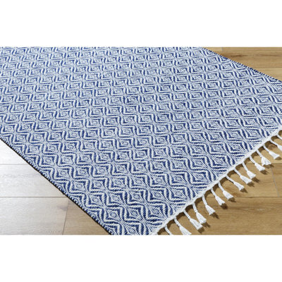 Bhaktivinod Hand Woven Area Rug
