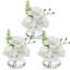 Arrangement in Vase-343287807-343287805