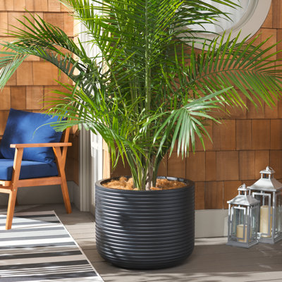 Handmade Concrete Pot Planter