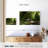 Alvord Nepal Rainforest-107501501