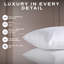Goose Feather Down Pillow Set 2 Pack Medium Support Back Sleeper 230 TC Cotton Cover Luxurious Hotel Snuggledown