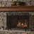 Thayer Single Panel Iron Fireplace Screen-1867522738