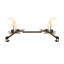 Pine Branch 6 - Light Vanity Light