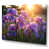 Wrapped Canvas