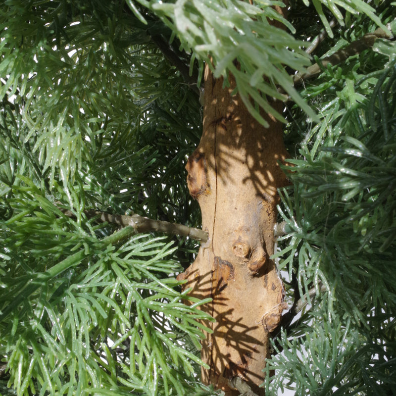 Anlin Faux Cypress Tree in Pot, 95 cm x 45 cm