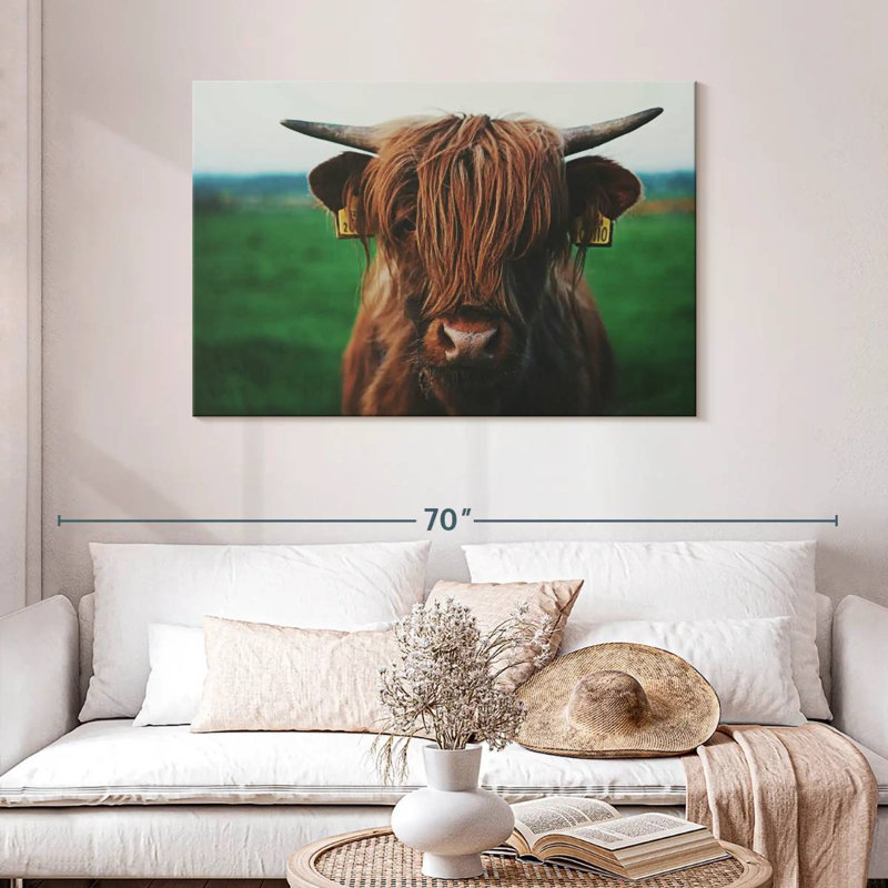 Brampt Highland Cow Close Up, 30" H x 45" W