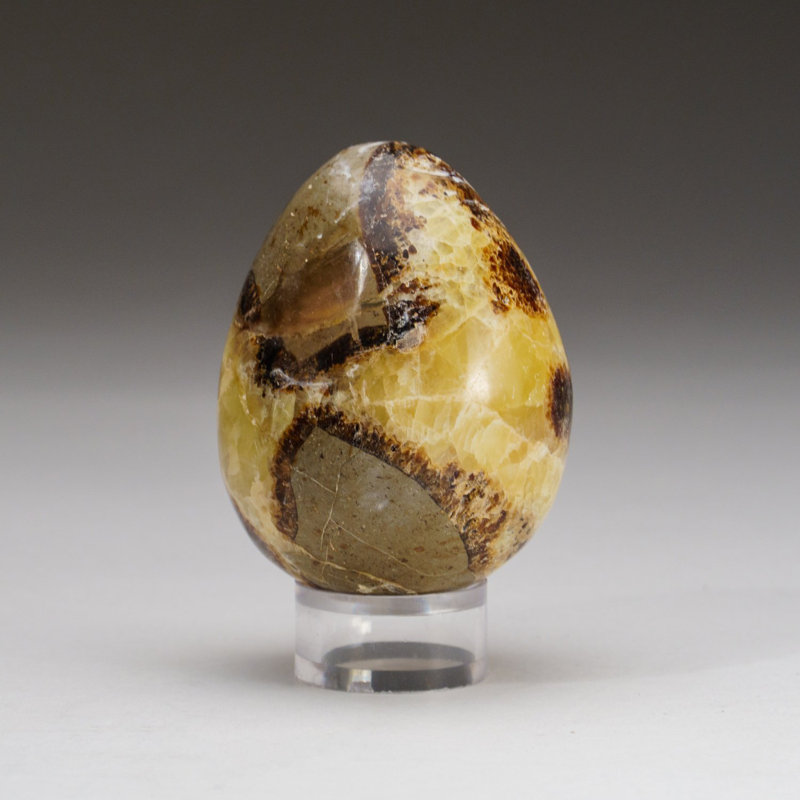 Polished Septarian Egg From Madagascar (175.6 Grams)
