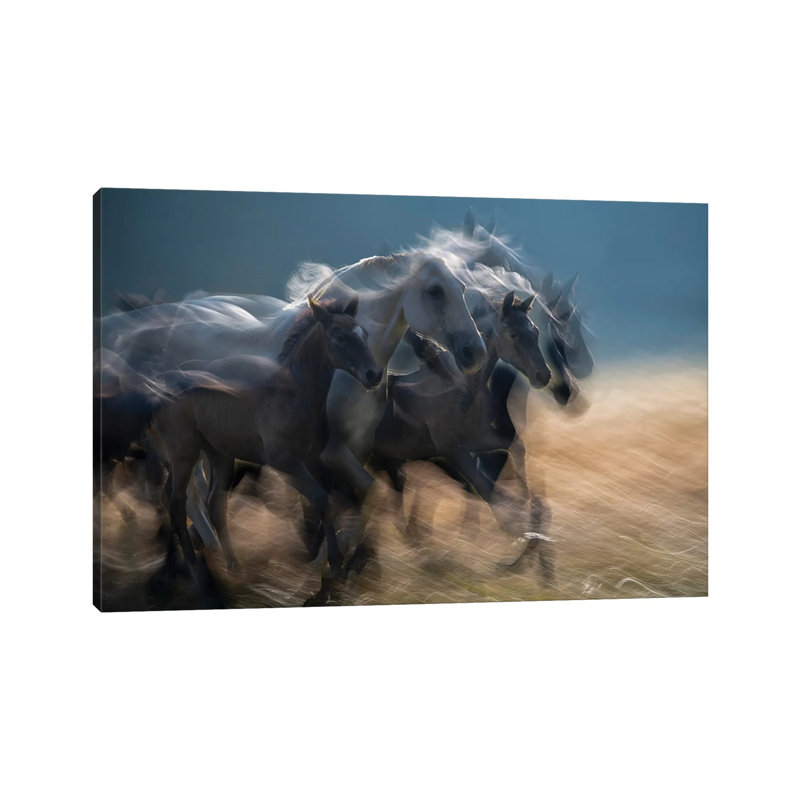 First in Line by Milan Malovrh - Wrapped Canvas Graphic Art 1 Piece Wrapped Canvas Wall Art, 20.32cm H x 30.48cm W x 1.91cm D