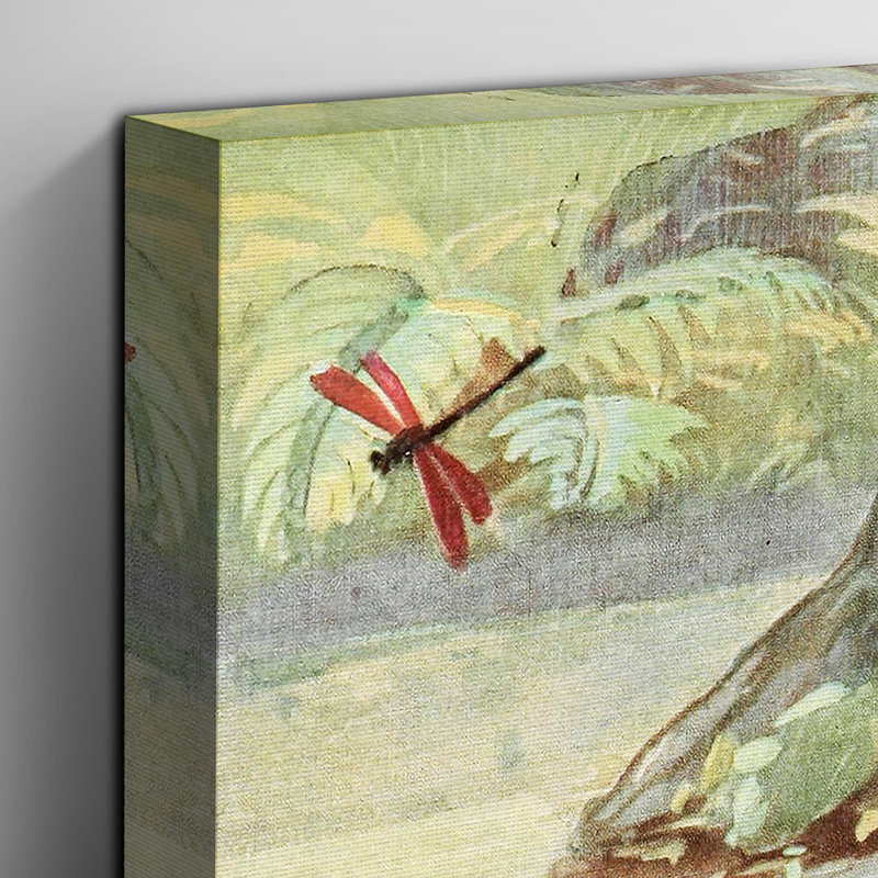 Vintage Brazilian Dragonflies by Paul Flanderky - Wrapped Canvas, 60cm H x 40cm W