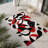 Obsidian Echo Indoor And Outdoor Area Rug-1183612399