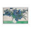 Irises, 1890 by Vincent Van Gogh - Painting on Canvas-2100390177-2091620064