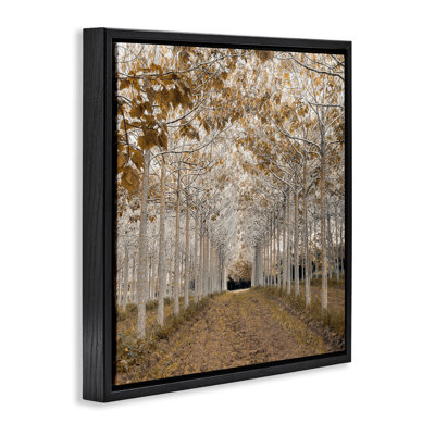 Cadre flottant Birch Grove, design par Assaf Frank