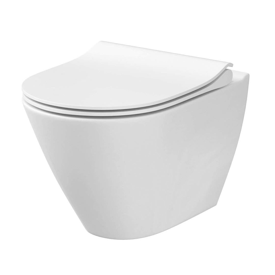 Stormon Dual-Flush Round Wall-Mount Toilet with Soft-Close Seat, Tank, Carrier System and Push Button Fine Fixtures Rough-In 