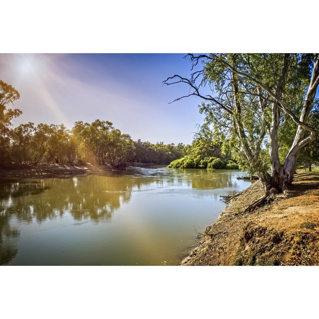 Murray River At Swan Hill von Tracielouise - Kunstdrucke auf Leinwand