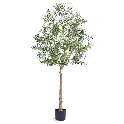 Olive artificielle