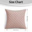 Aspire Homeware Embossed Square Velvet Cushion Covers-961055148-961055144