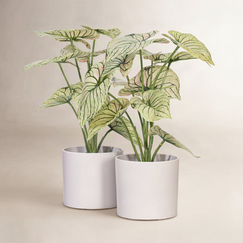 11.5'' Faux Plant in Pot, Light Green