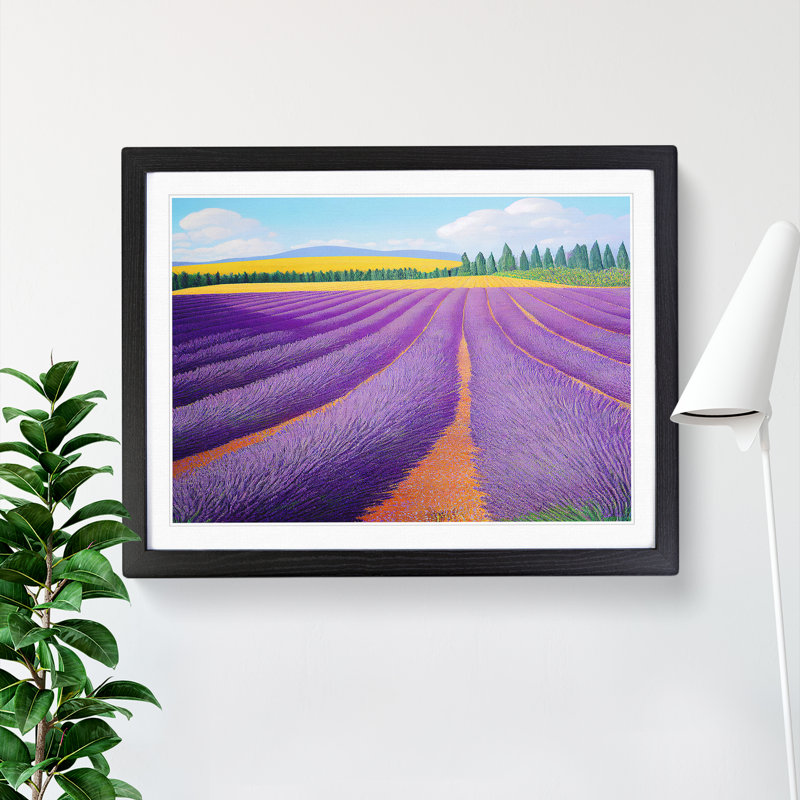 Overwhelming Lavender Flower Field - Single Picture Frame Print, Black, 34cm H x 46cm W x 2cm D
