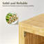 Shoe Storage Cabinet