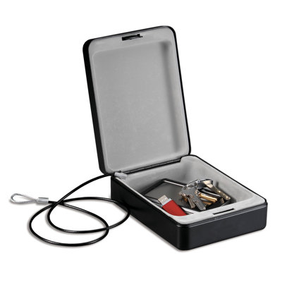 SentrySafe 0.05 Cu. Ft. Portable Security Safe Box with Key Lock