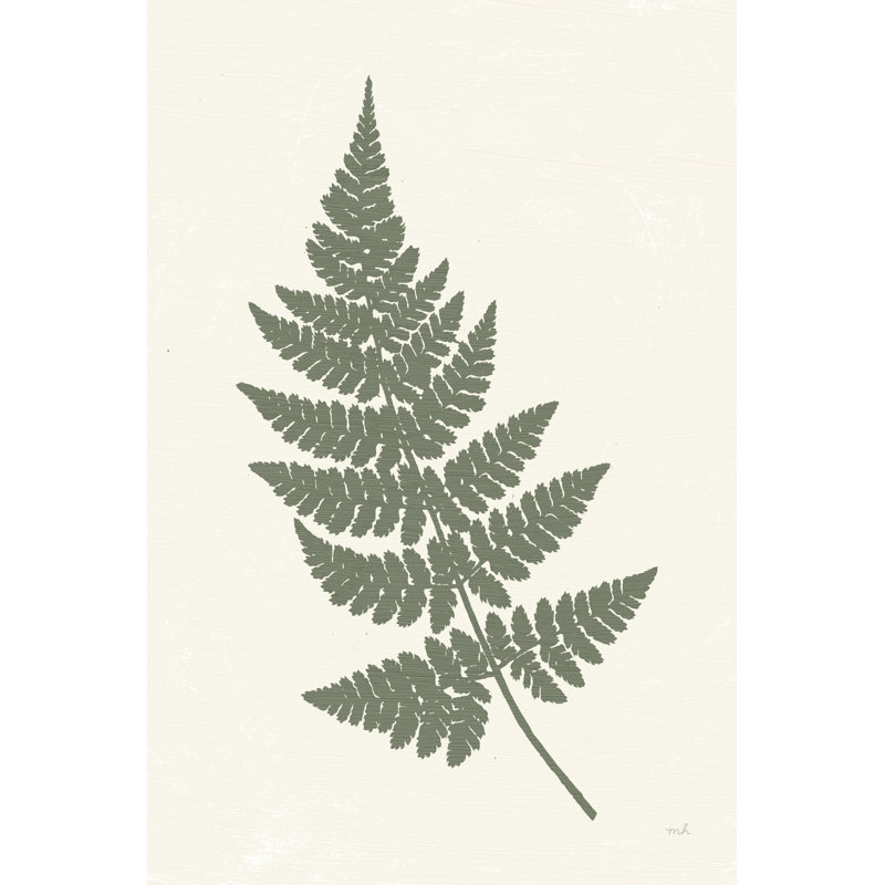 Forest Shadows I Green On Cream Crop by Moira Hershey - Wrapped Canvas Print, 30cm H x 46cm W x 3.8cm D