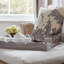 Lacquer Decorative Tray-822641755-822641757