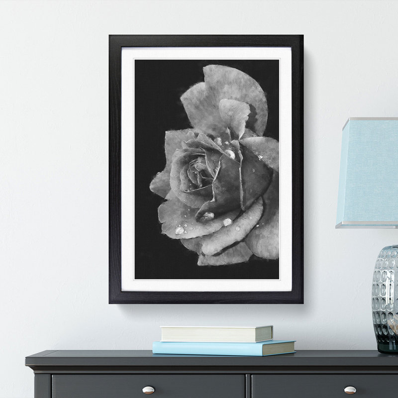 Rose Flower - Single Picture Frame Print on MDF, Black Framed, 63cm H x 45cm W x 2cm D