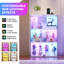 Display Cabinet-2069389679