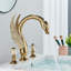 Widespread Faucet 2-handle Bathroom Faucet