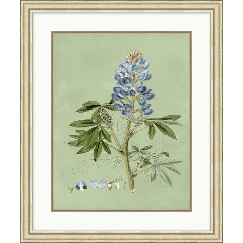 Sage and Blue Botanical 1