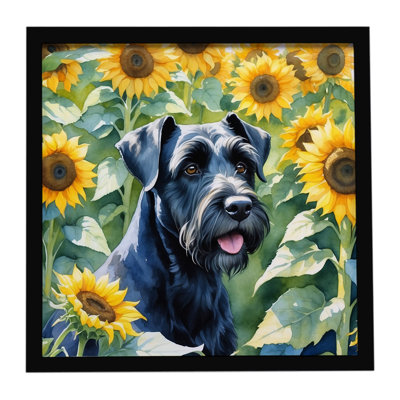 Giant Schnauzer in Sunflowers Framed Metal Print