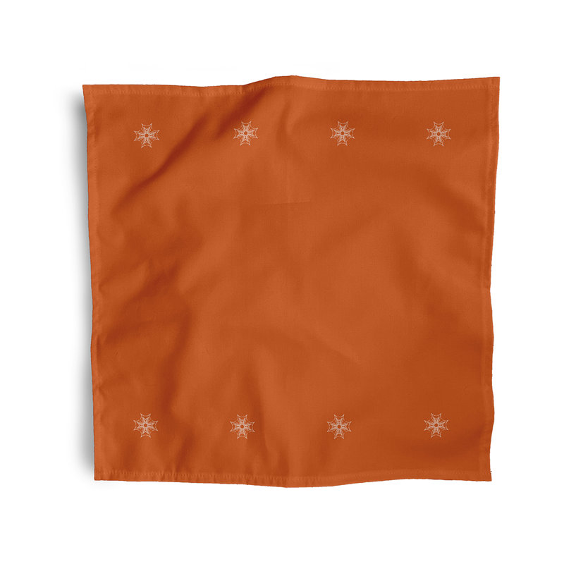 Krystoffer Web Art Napkins, Orange