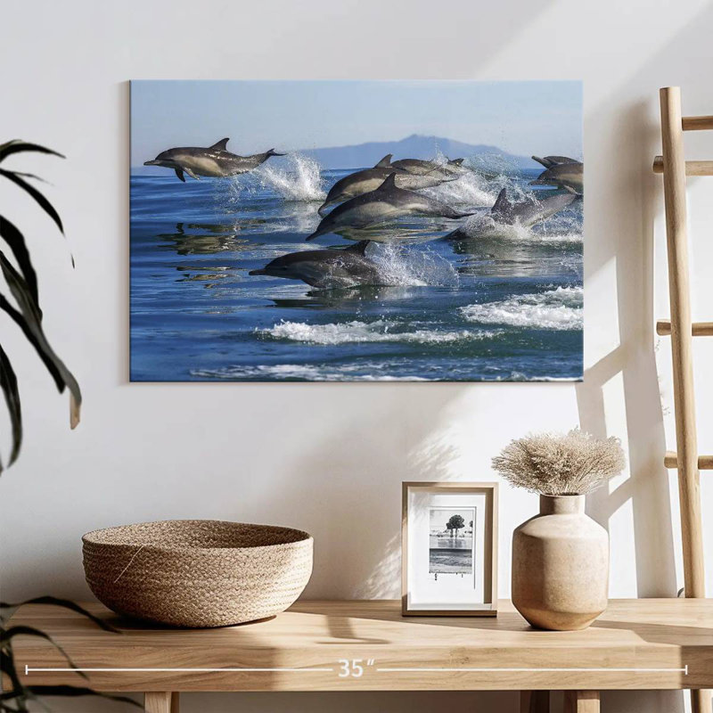 Crowle Dolphin Pod