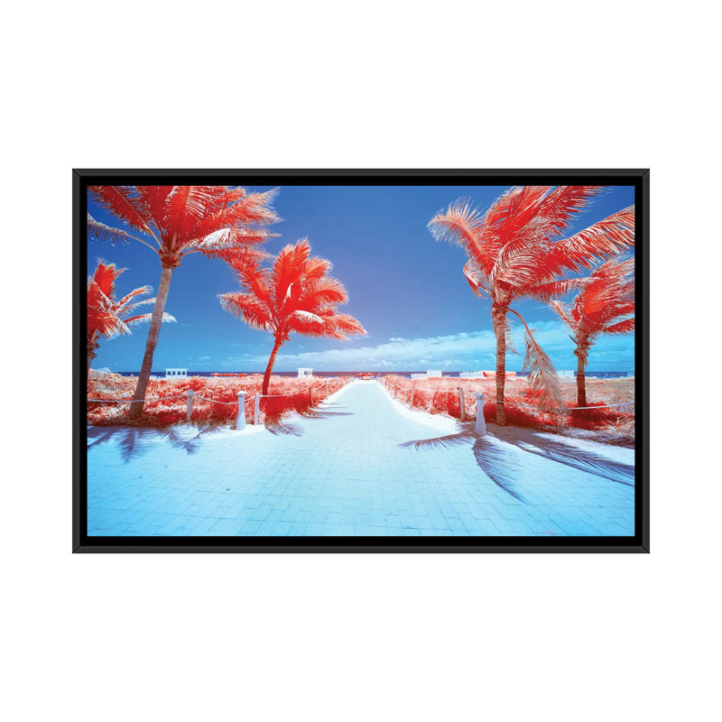 Palm Tree III by Glauco Meneghelli - Floater Frame Print on Canvas