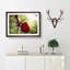 Red Anthurium Flower - Picture Frame Photograph Print-55597967-55597972