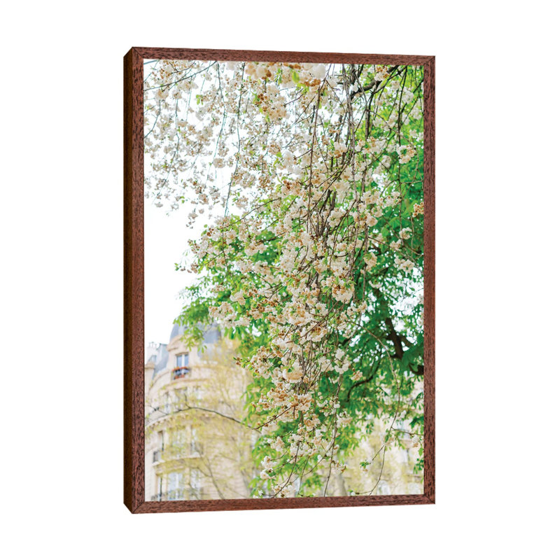 Paris Garden II by Bethany Young - Print on Canvas, 101.6cm H x 66.04cm W x 3.81cm D, Classic Brown Wood Framed