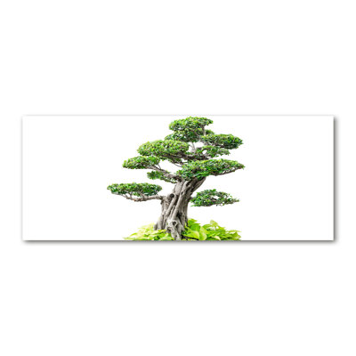 Bonsai Tree - Wrapped Canvas Print