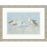 Gulls 2 Print