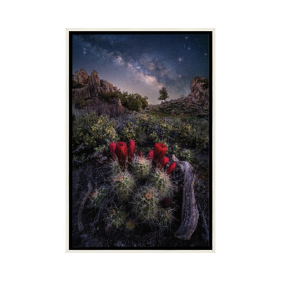Colorado Nightscape - Claret Cup Cactus avec voie galactique, ciel nocturne - reproduction d'art murale - toile encadrée