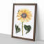 Sunflower by Johan Teyler - Picture Frame Painting Print-55613670-55613666