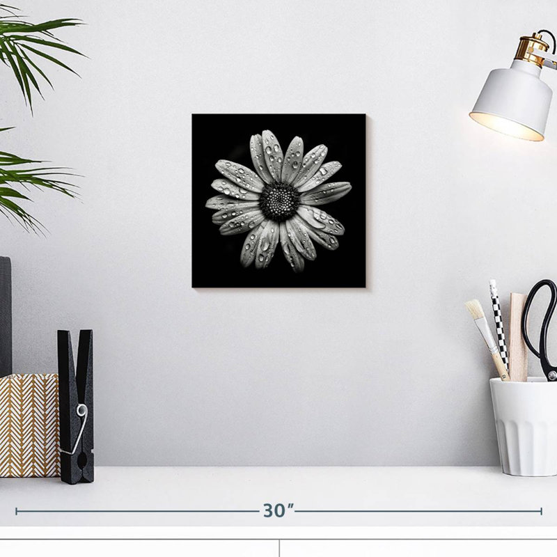Harnek Backyard Flowers BW I, 10" H x 10" W